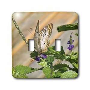  Florene Nature   Butterfly Pretty   Light Switch Covers 