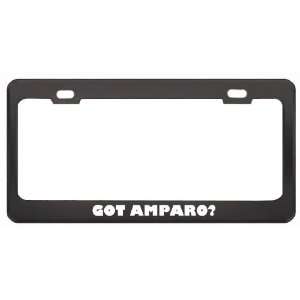 Got Amparo? Career Profession Black Metal License Plate Frame Holder 