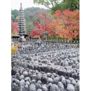 Jizo Stone Statues and Autumn Maple Leaves at Adashino Nenbutsu Dera 