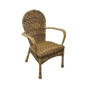   Resin Wicker Dining Chair #KLY10337CP GD Patio, Lawn & Garden
