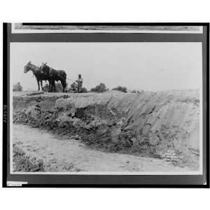   Man using mules to grade area destroyed by 1927 flood