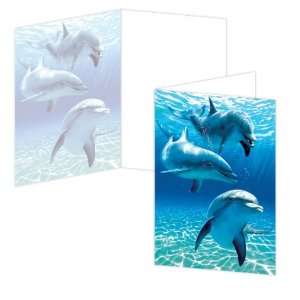  ECOeverywhere You Intelligent Creature Boxed Card Set, 12 