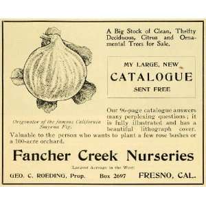  1901 Ad Fancher Creek Nurseries Figs Fresno California 