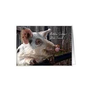  Birthday Name Samuel   Animal Cute Pig Farm Rural Card 