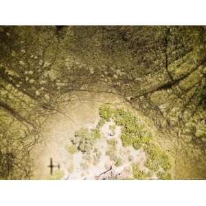  The Wetlands of the Okavango Delta and River System 