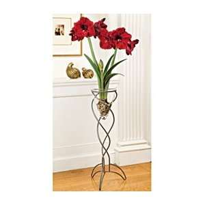  Amaryllis Benfica®, one bulb in a whale tail stand, river 