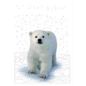 National Geographic Polar Bear Cub Christmas Card Health 