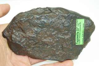 Meteorite TAGONNITE super brecciated endpiece 176g  