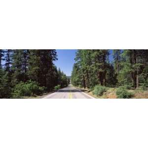  Highway Passing through the Forest, Highway 89, California 