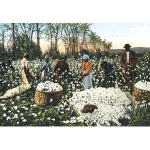  Vintage Art Cotton Field Workers   07460 4
