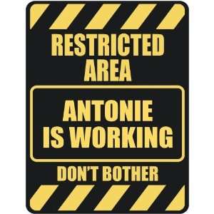   RESTRICTED AREA ANTONIE IS WORKING  PARKING SIGN