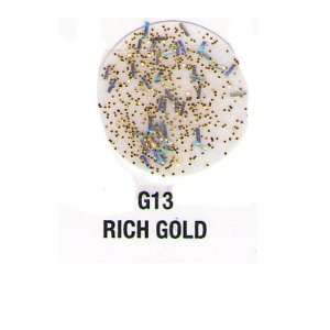  Verity Rich Gold G13 Nail Polish