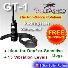 GT 1 Remote Dog Training Vibration Collar Deaf No Shock  
