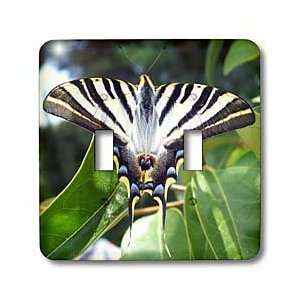   lantana, pear tree swallowtail, sail swallowtail   Light Switch Covers