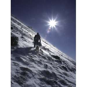  Man with Dog Climbing Arapahoe Peak in Strong Wind and 