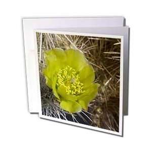   California.   Greeting Cards 6 Greeting Cards with envelopes Office