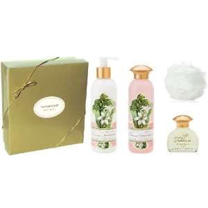  Terranova Tuberose Perfume, Lotion & Shower Gel Gift Set 