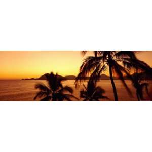 Silhouette of Palm Trees at Dusk, Manzanillo, Mexico Photographic 