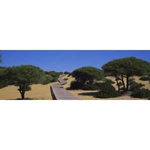   , Huelva Province, Spain by Panoramic Images , 8x24