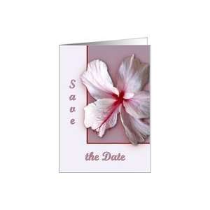  Hibiscus , Wedding Save the Date Card Health & Personal 