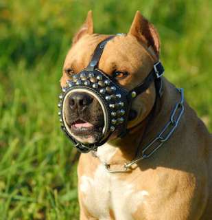 Leather Studded Dog Muzzle Amstaff Rottweiler PitBull  