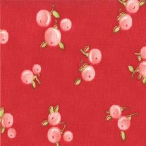   Ruby Fabric by Bonnie and Camille Quirky Ruby Arts, Crafts & Sewing