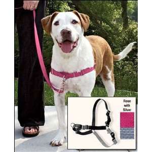  Easy Walk No Pull Dog Harness (Rose, Small)