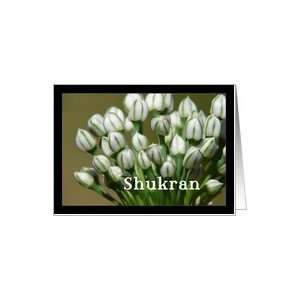  Shukran means Thank you in Arabic   white flowers Card 