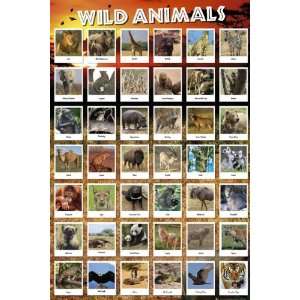  Animals Posters Wild   Animals   35.7x23.8 inches