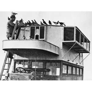  French Communications Via Carrier Pigeons During World War 