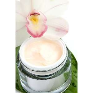  Dr.Bs Anti Oxidant Cream Beauty