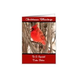  Twin Sister Male Cardinal Christmas Card Card Health 