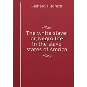  The white slave or, Negro life in the slave states of 