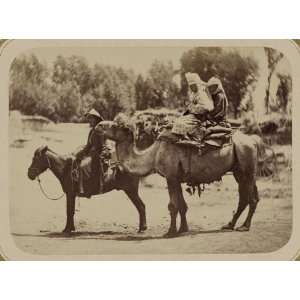  Turkic peoples,transportation,horse,camel,Asia,c1865