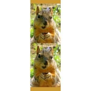  Squirrel Bookmark Business Card Templates