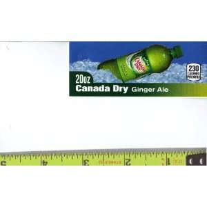 Magnum, Small Rectangle Size Canada Dry Ginger Ale Bottle on Ice Soda 