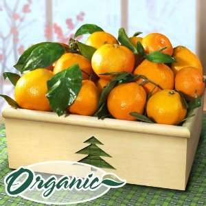 Muir Organic Mandarin Crate Fruit Gift Grocery & Gourmet Food