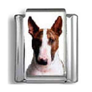 Bull Terrier Dog Photo Italian Charm