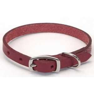   Pet Products Leather Oak Tan Dog Collar 1X22 Red