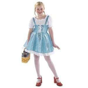  Blue Sparkle Dress Child Costume Size Small Toys & Games
