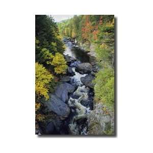  West Branch Pleasant River Maine Giclee Print