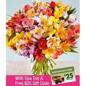 100 Blooms of Peruvian Lilies, Spa Trio, & FREE $25 Restaurant 