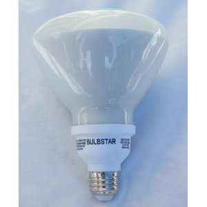  Indoor & Outdoor Fluorescent Flood Light Bulb 23 Watts (4 