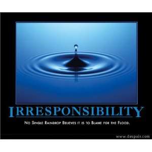  Irresponsibility Demotivator Lithograph