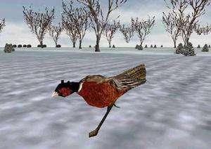 Bird Hunter Upland Edition PC CD bird hunting sim game  