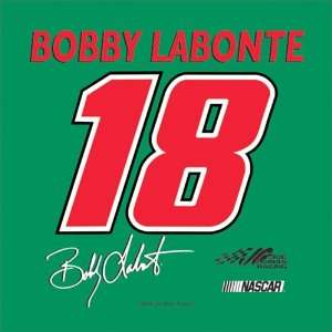  Bobby Labonte #18   Seat Cushion/Tote