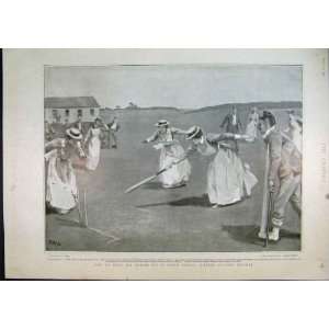  1901 Nurses Sisters Playing Cricket South Africa Sport 