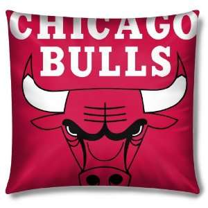 Bulls 16 Toss Pillow
