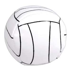  Bean Ball   Volleyball Toys & Games