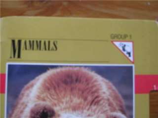 Wildlife Fact File Replacement Cards Group 1 Mammals over half missing